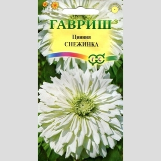 Цинния Снежинка