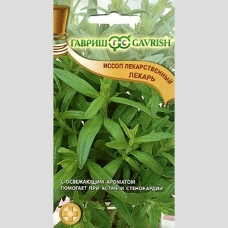 Иссоп Лекарь лекарственный