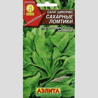 Салат Сахарные ломтики цикорный