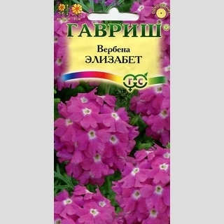 Вербена Элизабет