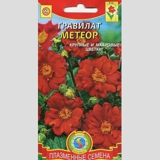 Гравилат Метеор