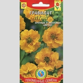 Гравилат Луна