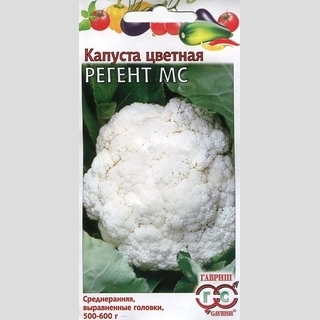 Капуста Регент МС цветная