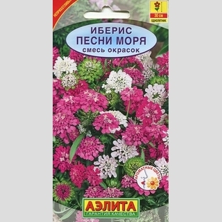 Иберис Песни моря, смесь