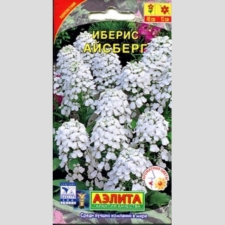 Иберис Айсберг