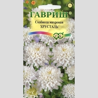 Скабиоза Хрусталь