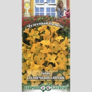 Табак Солнечный зайчик душистый
