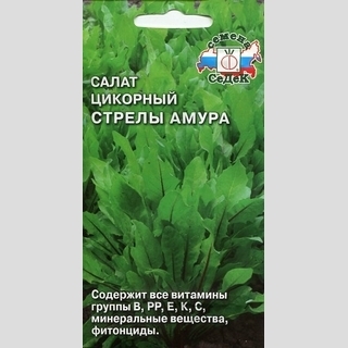Салат Стрелы амура (цикорный)