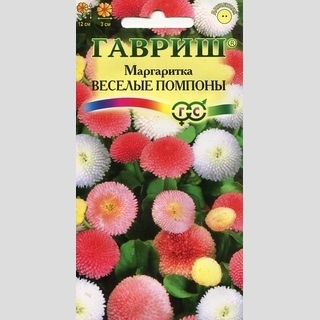 Маргаритка Веселые помпоны