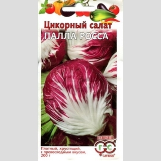 Салат Пала Росса цикорный