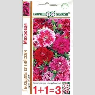 Гвоздика китайская махровая смесь