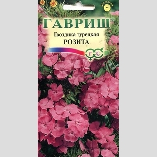 Гвоздика Розита (турецкая)