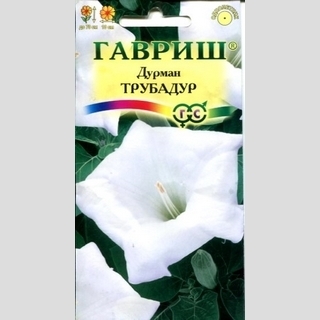 Дурман Трубадур