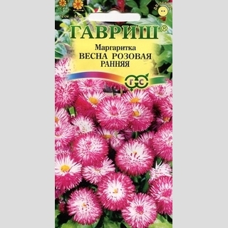 Маргаритка Весна розовая