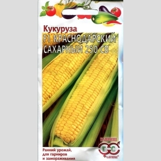 Кукуруза Краснодарский сахарный 250 СВ F1