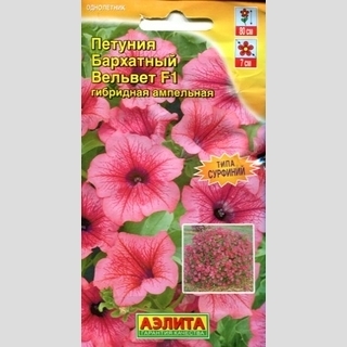 Петуния Бархатный вельвет F1
