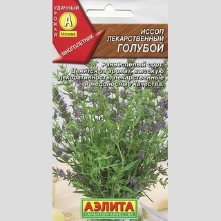 Иссоп Голубой