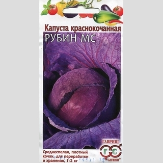 Капуста Рубин МС