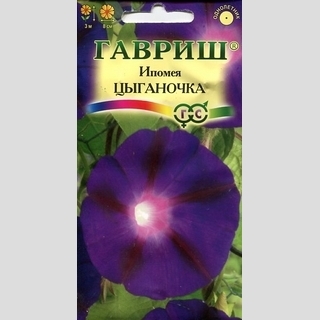 Ипомея Цыганочка