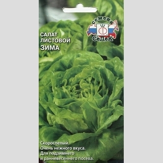 Салат Зима (листовой)