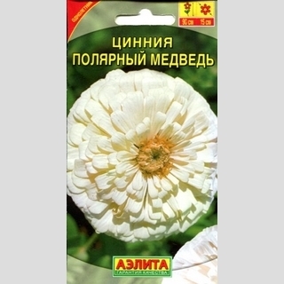 Цинния Полярный медведь