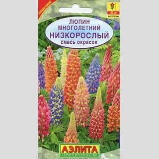 Люпин Низкорослый смесь