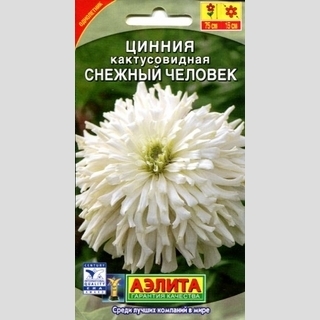 Цинния Снежный Человек