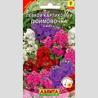 Левкой Дюймовочка смесь