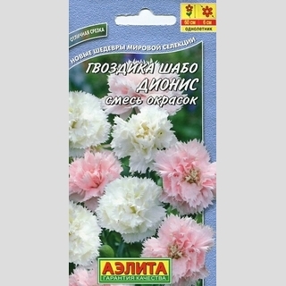 Гвоздика Шабо Дионис смесь (садовая)