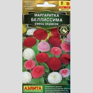 Маргаритка Белиссима смесь