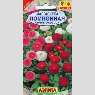 Маргаритка Помпонная, смесь