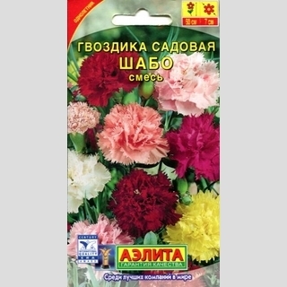Гвоздика Шабо смесь (садовая)