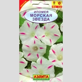 Ипомея Морская звезда