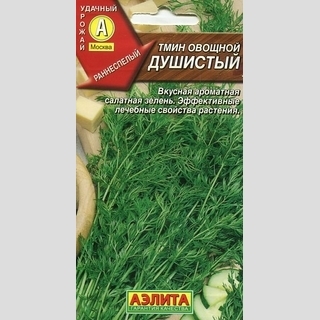 Тмин Душистый (овощной)