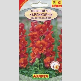 Львиный зев Карликовый оранжево-красный