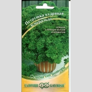 Петрушка Эсмеральда кудрявая