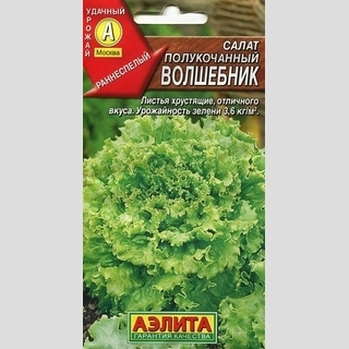 Салат Волшебник