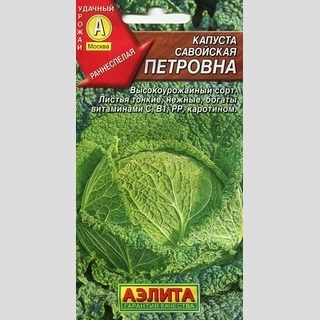 Капуста Петровна (савойская)