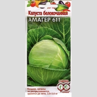 Капуста Амагер-611