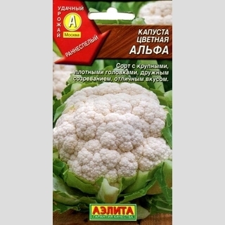 Капуста Альфа