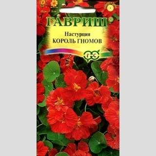 Настурция Король гномов