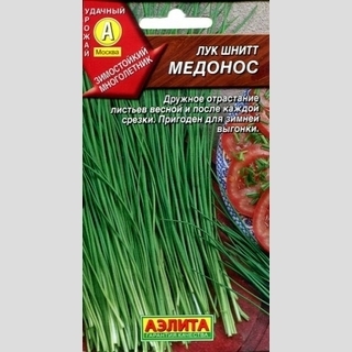 Лук Медонос (шнитт)