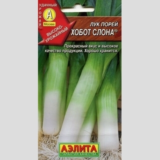 Лук Хобот слона (порей)