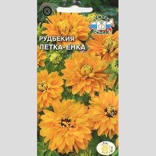 Рудбекия Летка-Енка