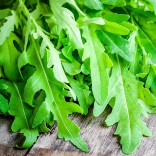 Индау Неаполитано (руккола)