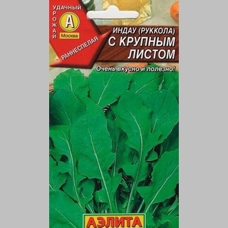 Индау с крупным листом (руккола)