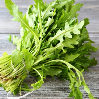 Индау На здоровье (руккола)