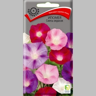 Ипомея Смесь окрасок