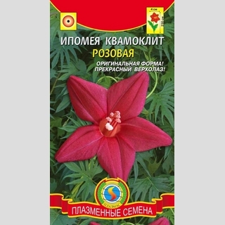 Ипомея Розовая квамоклит