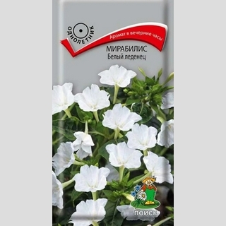Мирабилис ялапа Белый леденец